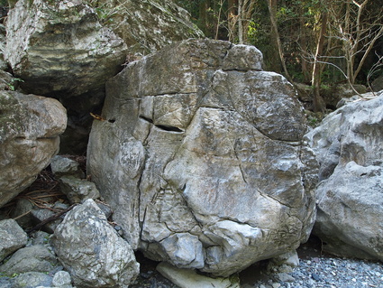 b0077448_12444044.jpg
