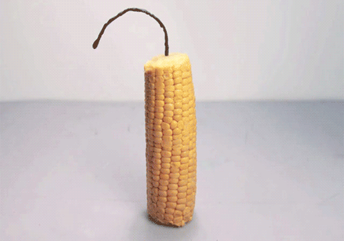 d0166848_19193746.gif