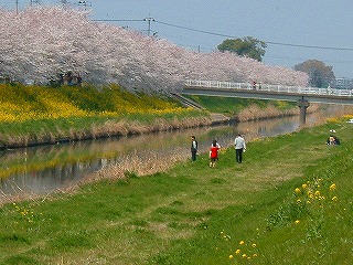 c0046355_13114220.jpg