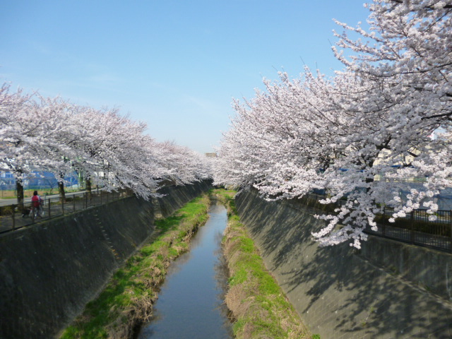 d0008157_133977.jpg