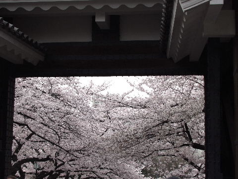 e0088260_23173149.jpg