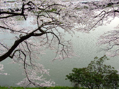 e0088260_23175212.jpg