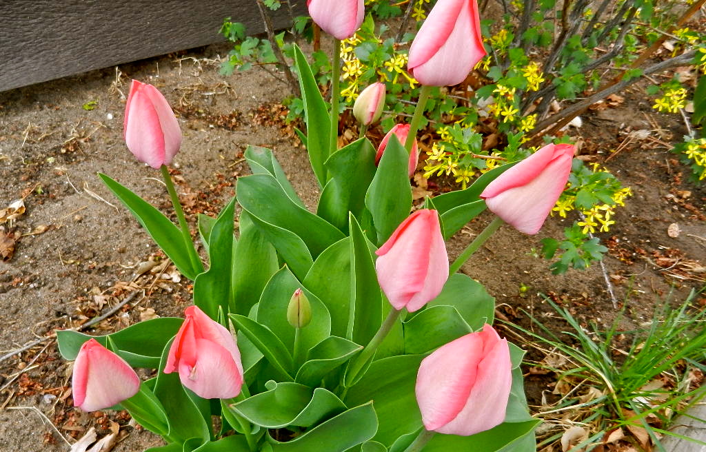 b0207361_1043681.jpg