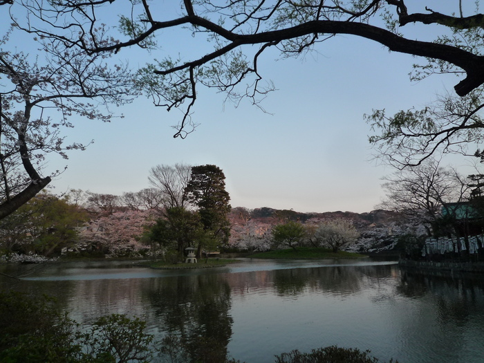 b0141664_1553797.jpg