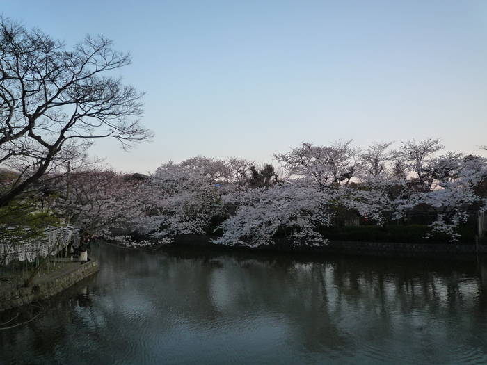 b0141664_1554080.jpg