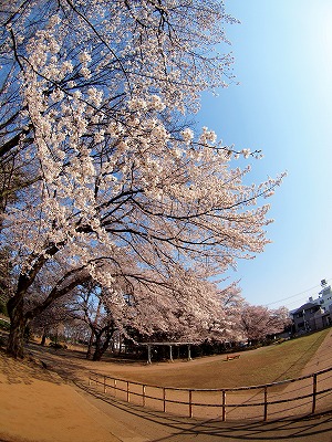 b0180764_12521238.jpg