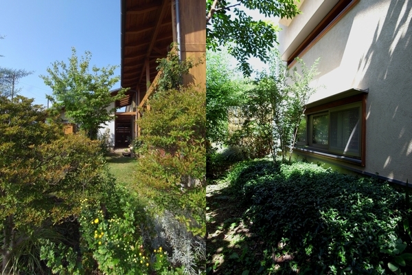 c0166668_2325482.jpg