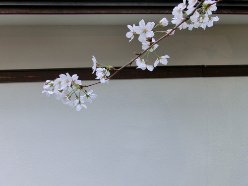 c0171468_22455497.jpg