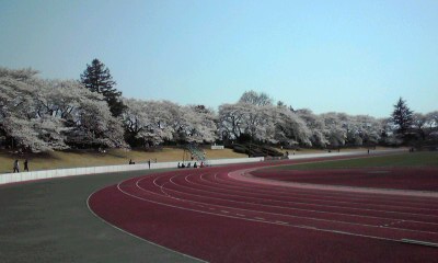 f0140174_040499.jpg