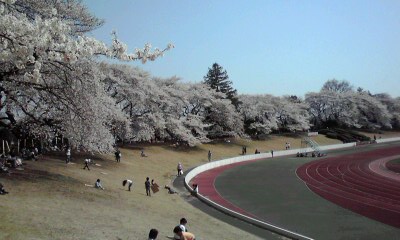 f0140174_0415071.jpg