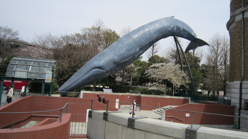 e0262977_153248.jpg
