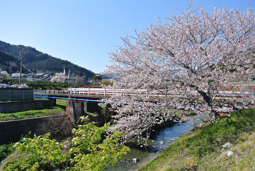 b0059978_19511949.jpg