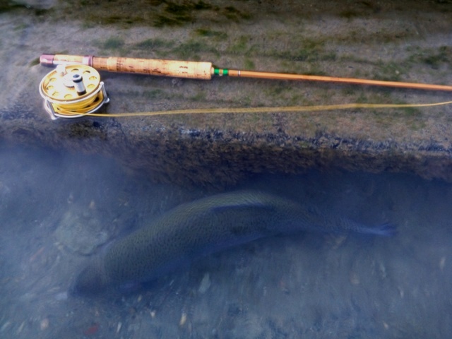 c0157482_21563057.jpg