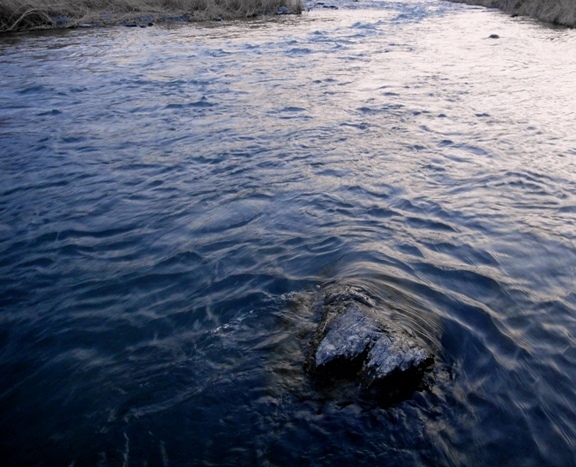 c0157482_22564164.jpg
