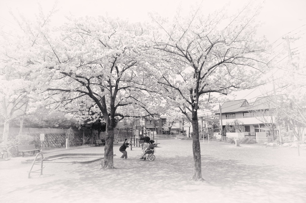 f0167482_22384043.jpg