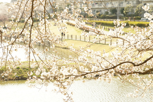 b0107483_819910.jpg