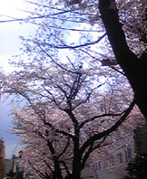 e0060483_22162242.jpg