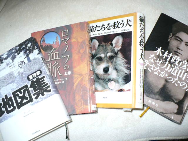 c0198685_17103335.jpg