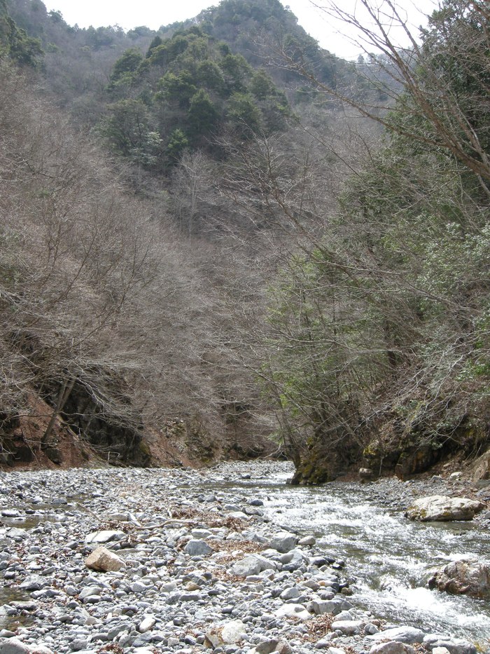 c0136486_11304891.jpg
