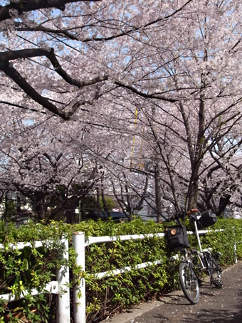 b0087187_17152597.jpg