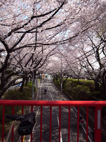 b0087187_17155615.jpg