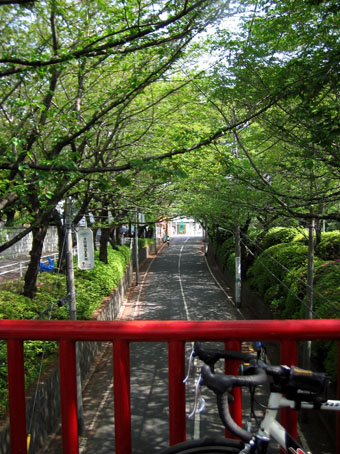 b0087187_17161740.jpg