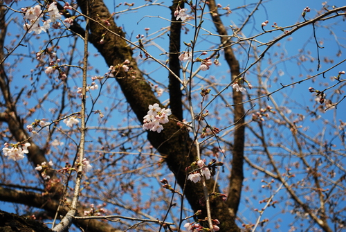 a0147391_17163446.jpg