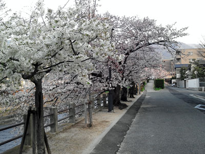 b0019591_14595572.jpg