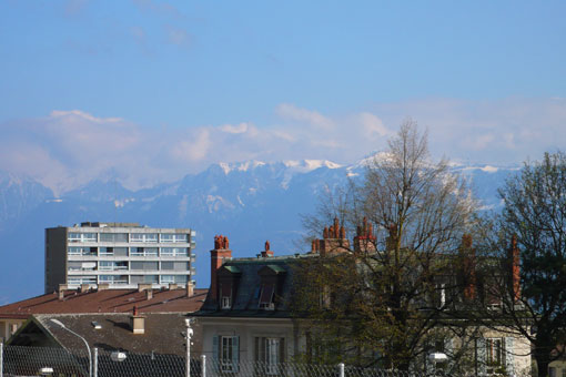 b0107891_17254442.jpg