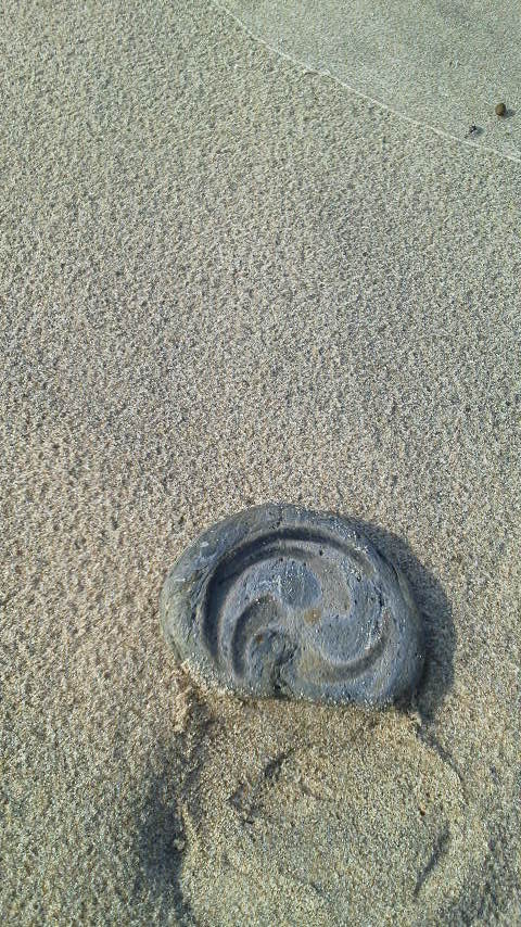 e0087595_14145100.jpg