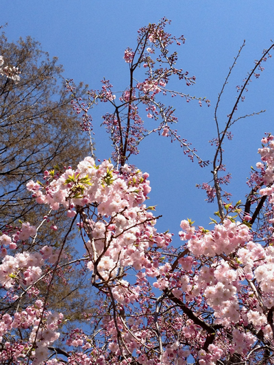 f0001895_20485190.jpg