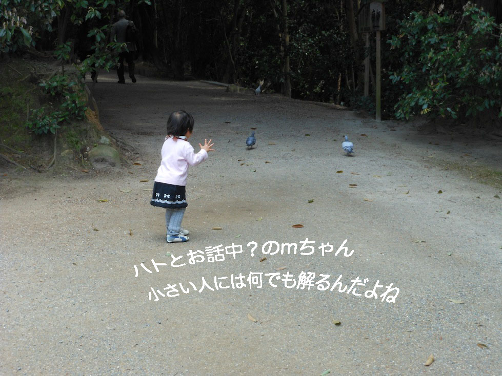 a0207396_1831856.jpg