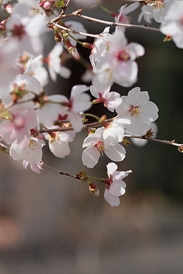 e0209997_2325412.jpg