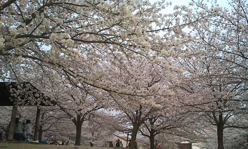 b0201198_932567.jpg