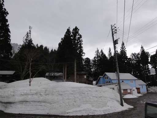 a0061599_7263223.jpg