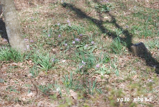 e0025300_14204214.jpg