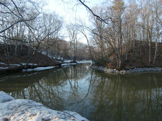 a0101404_21311299.jpg
