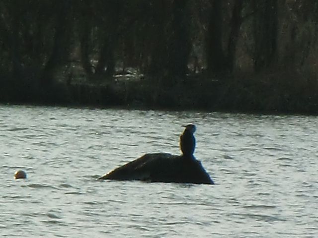 a0101404_21324047.jpg