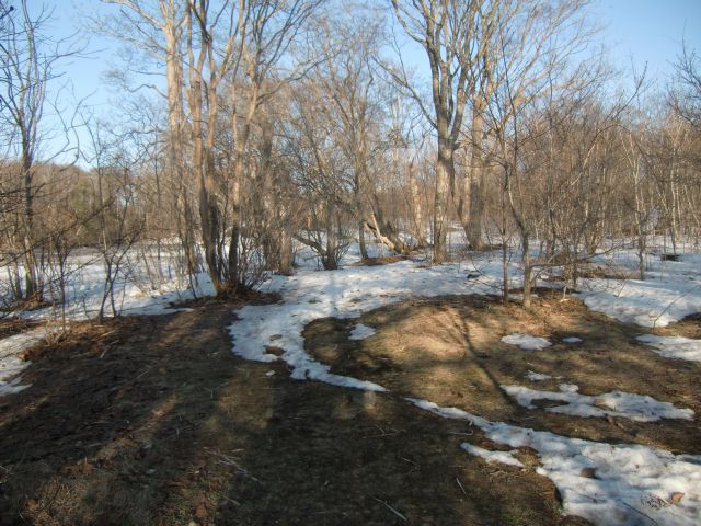 a0101404_21325668.jpg