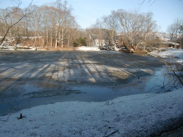 a0101404_2132818.jpg