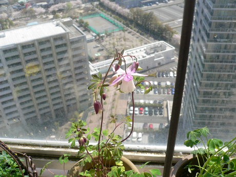 a0229205_2154573.jpg