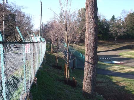 f0014205_1112465.jpg
