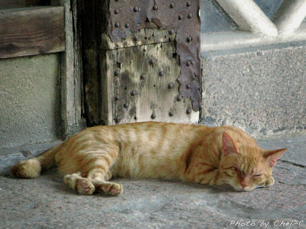 a0154706_22331722.jpg