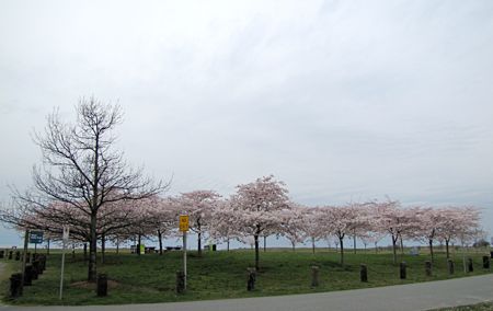 b0051109_15251154.jpg