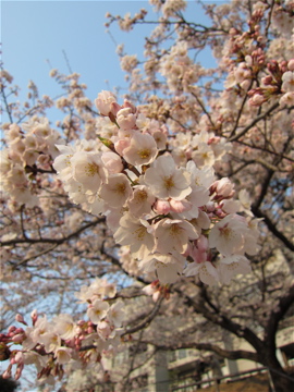 c0145209_9324397.jpg