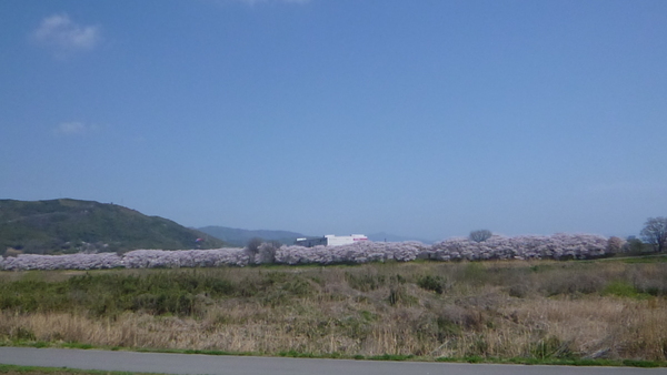 e0233614_2095587.jpg