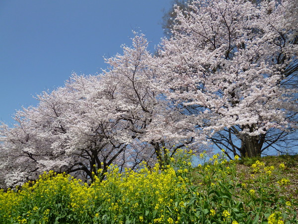 e0233614_22275120.jpg