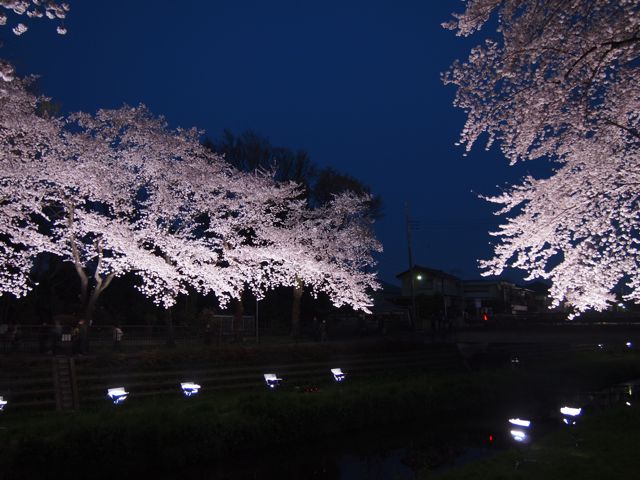 a0151615_2038259.jpg