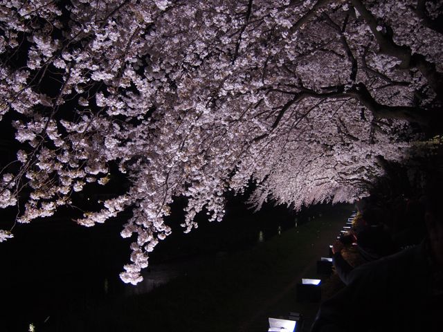 a0151615_20404513.jpg