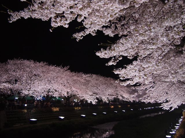 a0151615_2041596.jpg